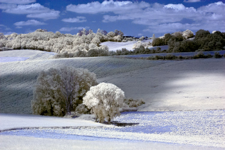 Snow covered land by trees against sky