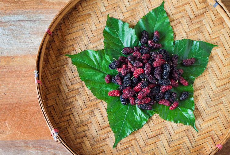 Directly above shot mulberries on leaves in basket