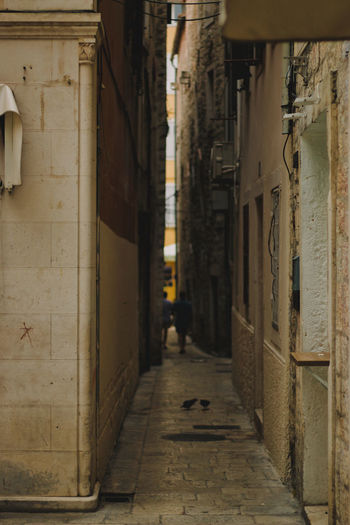 Rear view of man walking on narrow alley amidst buildings