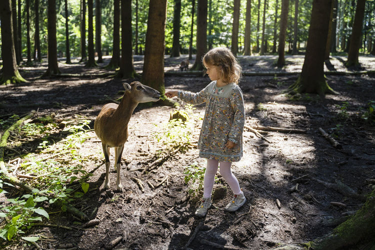 Girl feeding plant to deer in forest