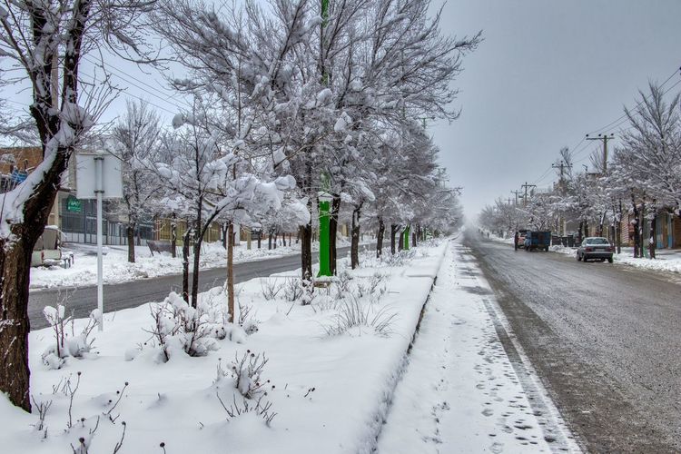 Street in winter