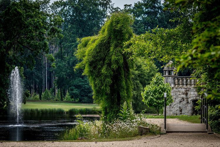 Scenic view of garden by lake in park