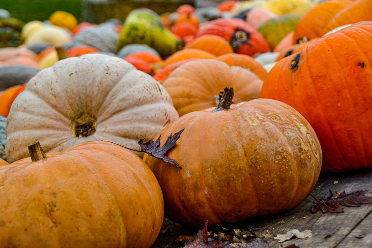 Close-up of pumpkins in market during autumn