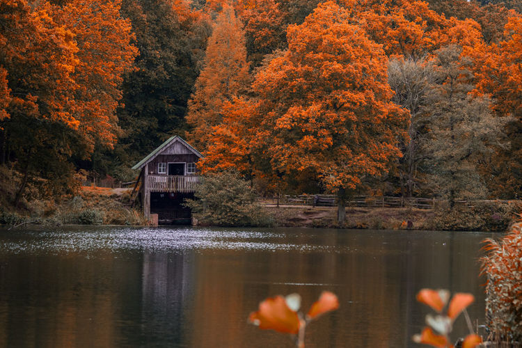 Scenic view of lake and boathouse in forest during autumn