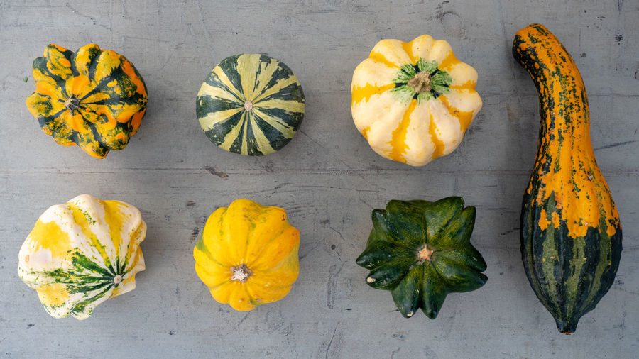 High angle view of pumpkins against gray background