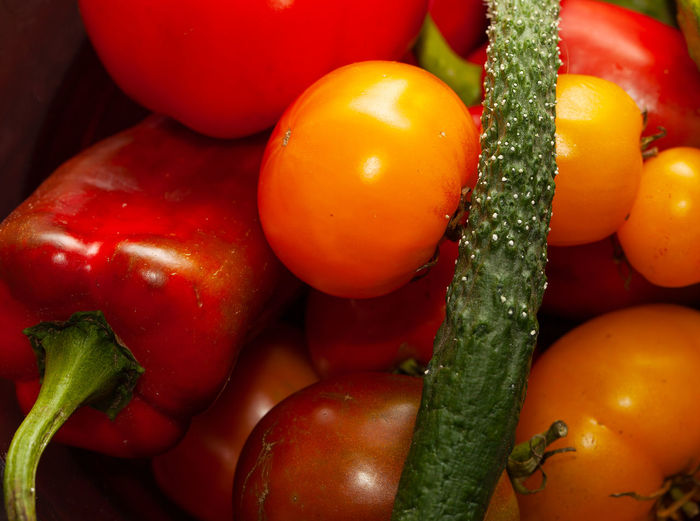 Close-up of tomatoes and bell pepper