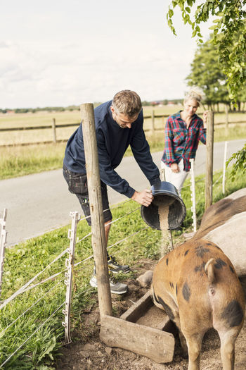 Farmer standing besides woman feeding pigs at farm