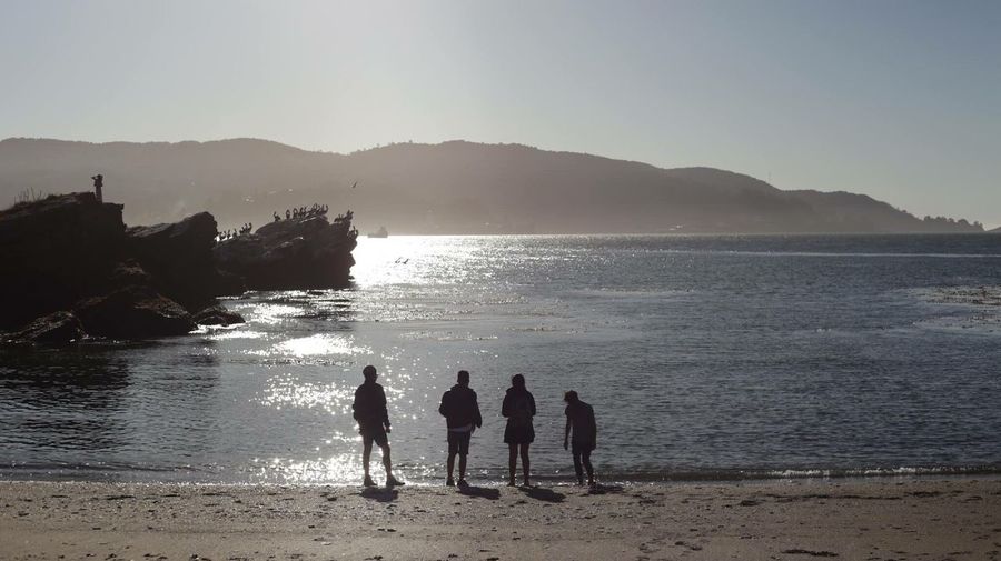 Silhouette people at beach against clear sky