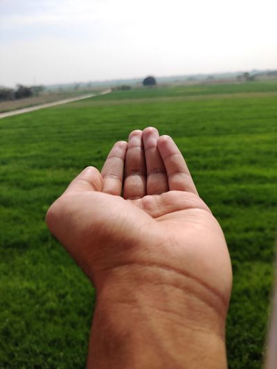 Cropped image of person hand on field