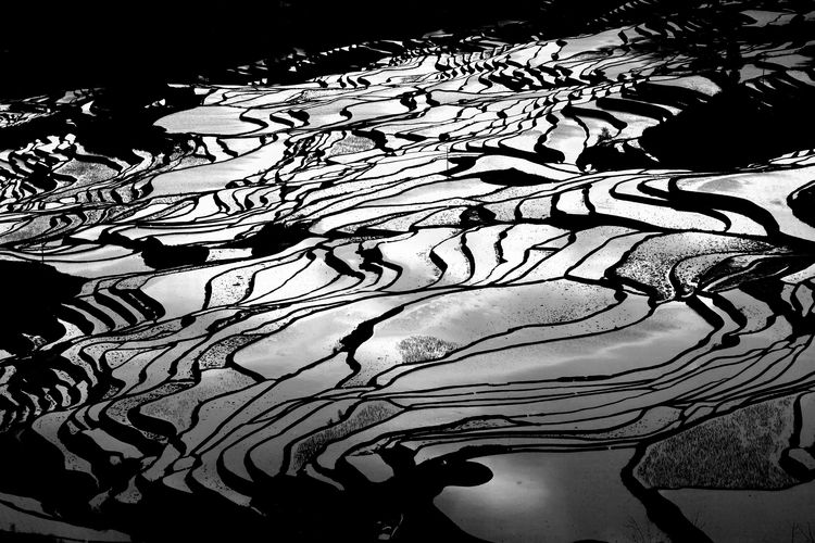 Rice terraces in yuanyang, yunnan province, china