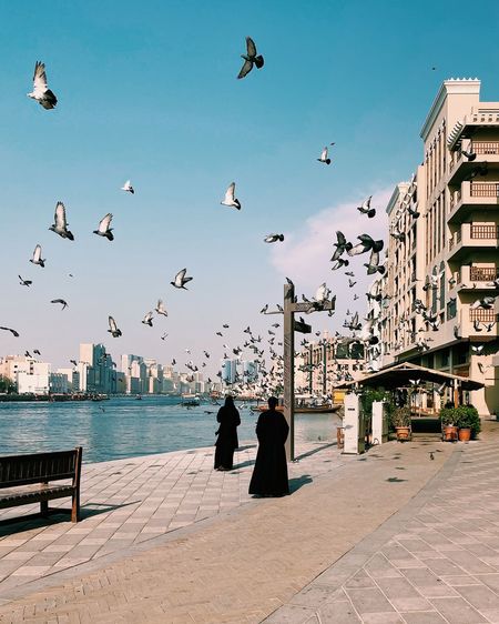 Arabic women walking near the dubai creek in bur dubai with pigeons flying above their heads.