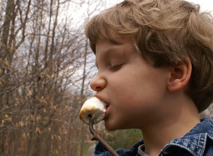 Close-up of boy eating marshmallow