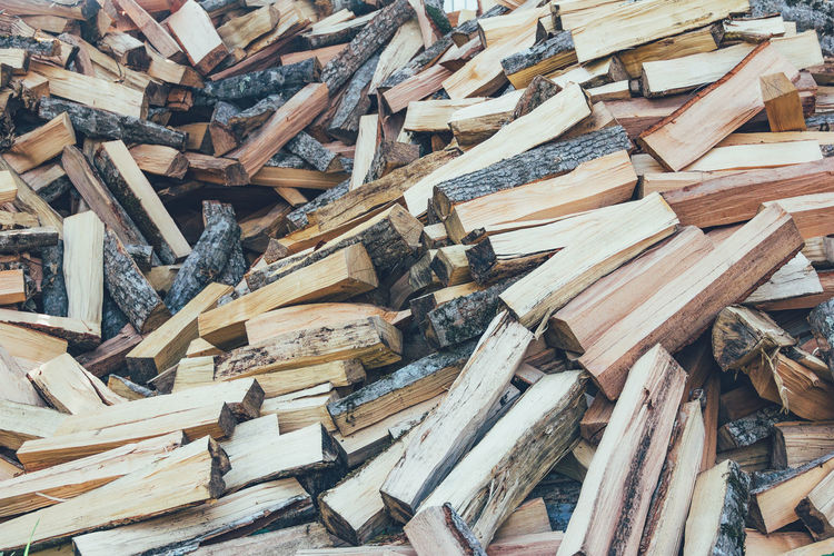 High angle view of logs in forest