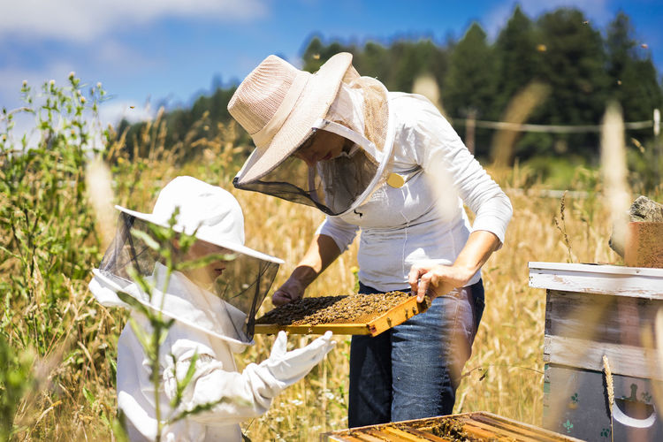 Mother and son examining honeycomb frame while standing on field