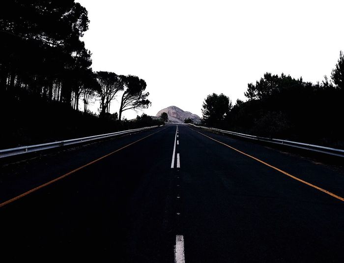 Empty road along trees