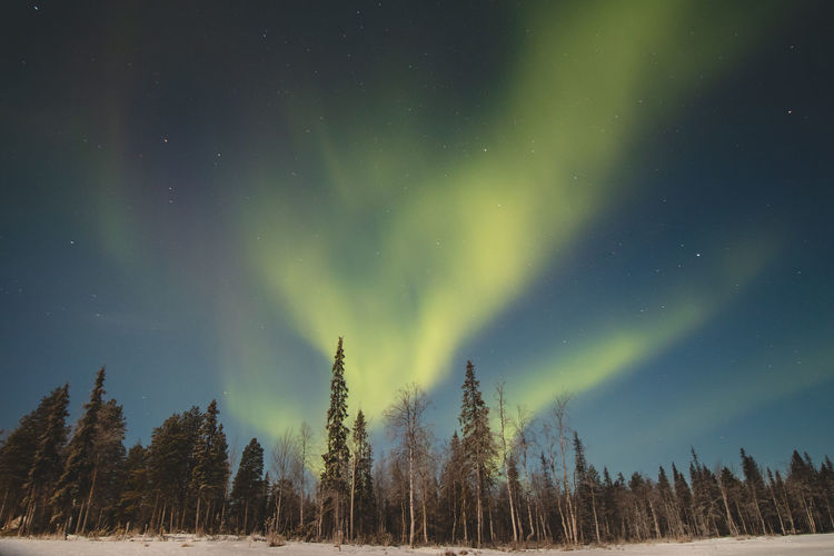 Breathtaking green dancing aurora borealis in the dark sky in sirkka, lapland, northern finland.