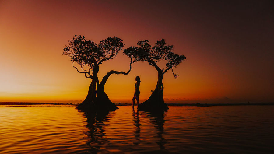 Woman standing by trees in sea against clear sky during sunset