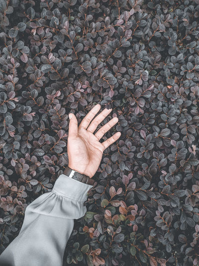 High angle view of human hand touching stone