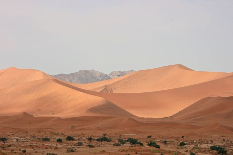 Namib-naukluft national park sand dunes and landscape, namibia.