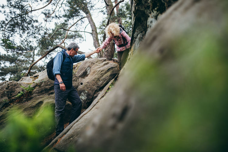 Two People Men Males Adult Adventure Tree Nature Selective Focus Land Climbing Togetherness Plant Forest Leisure Activity Day Activity Family Child People Mature Men Teamwork Outdoors