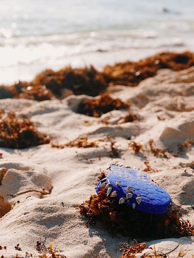 Discarded flipflop on beach with shells and seaweed