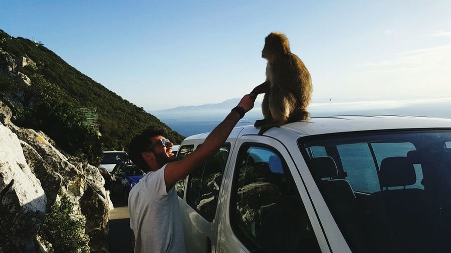 Man shaking hands with monkey sitting on car roof against sky