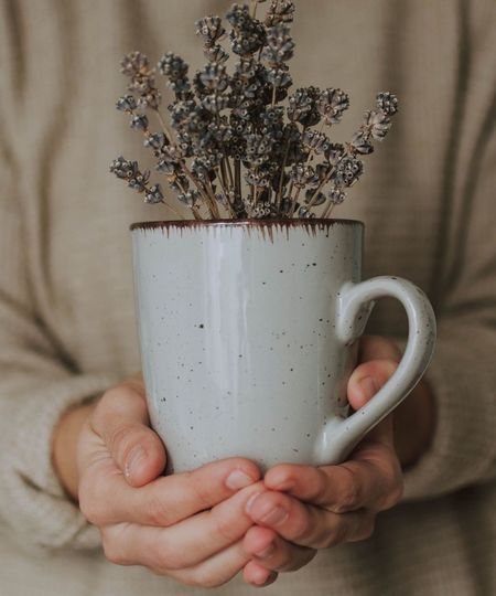 Midsection of woman holding potted plant