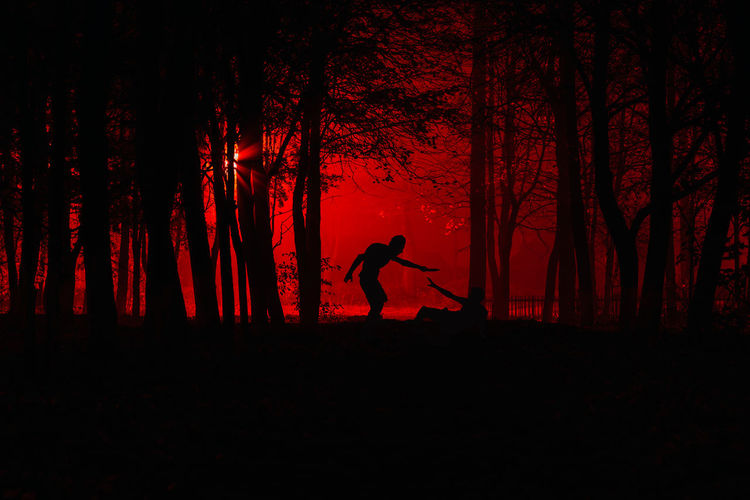 Silhouette man standing by trees in forest at night