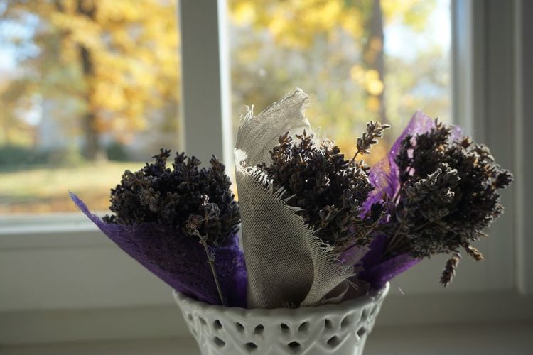 Close-up of purple flower pot on window