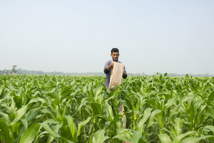 Indian farmer holding water pipe at corn field