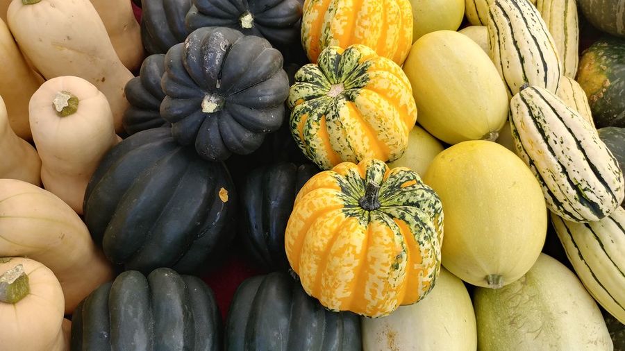 Close-up of squash for sale at market
