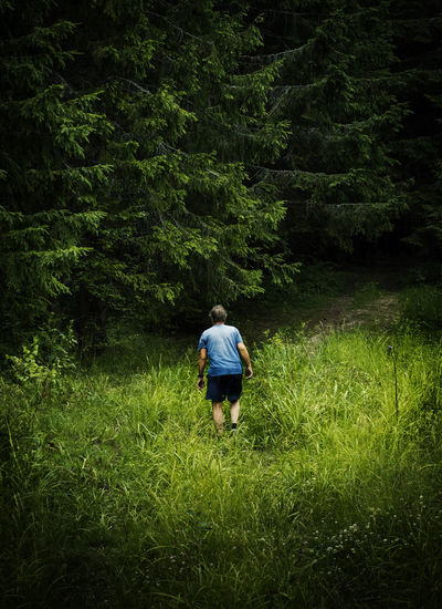 Rear view of man walking on grassy field in forest