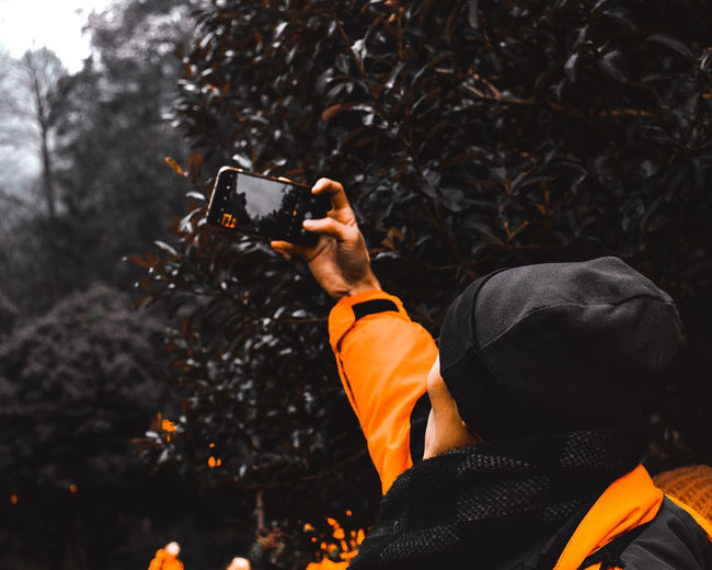 Man photographing tree through mobile phone