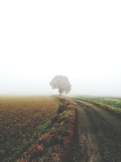 Road amidst field against sky during foggy weather