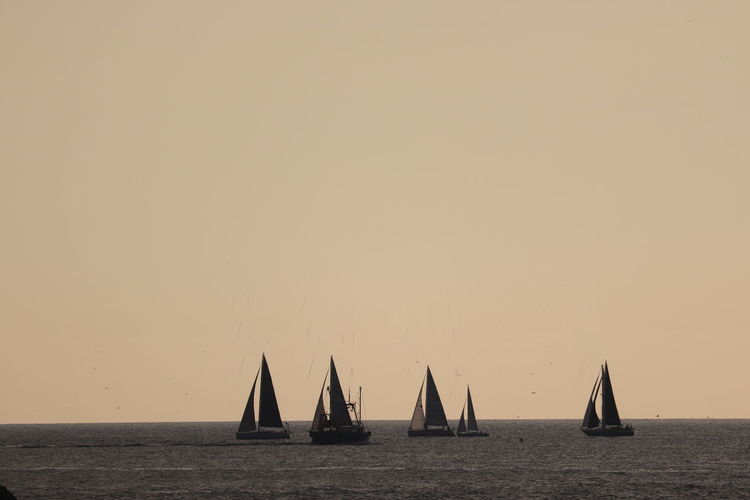 Sailboats sailing in sea against clear sky during sunset