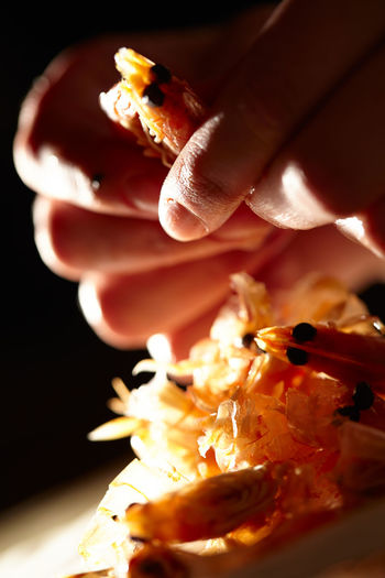 Cropped hands holding prawn