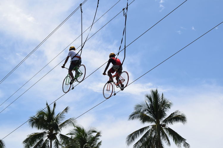 Low angle view of male friends riding bicycles on cables against blue sky