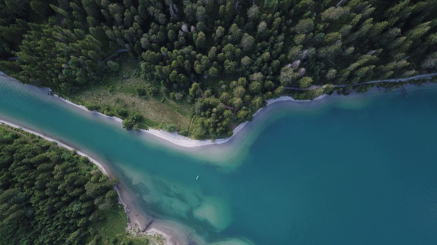 Aerial view of lake by forest
