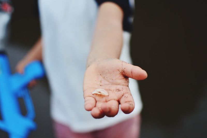 Close-up of boy holding seashell