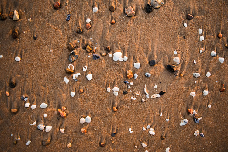 What sea left behind
