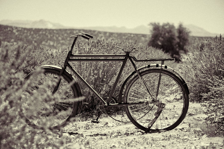 Abandoned bicycle on field