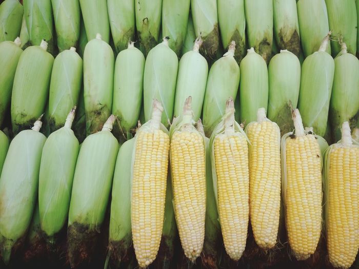 High angle view of corns at market stall