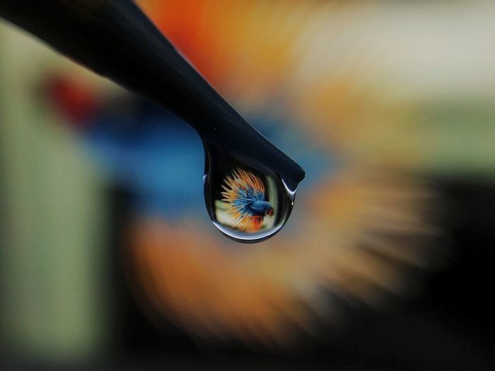 Macro shot of water drop on metal