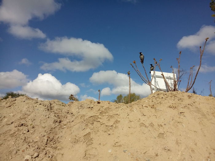 Low angle view of sand dune on beach against sky