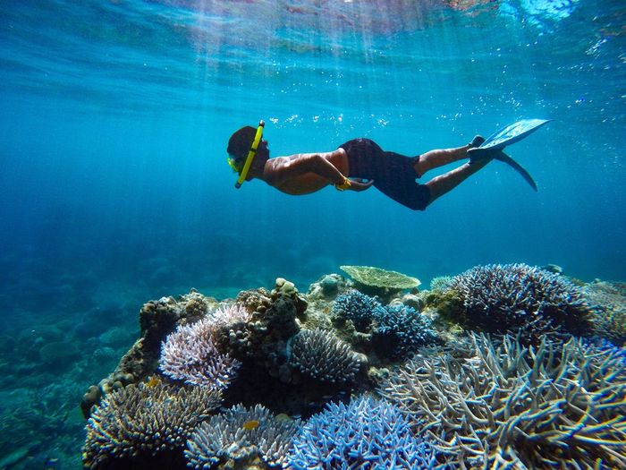 Man swimming over corals in sea