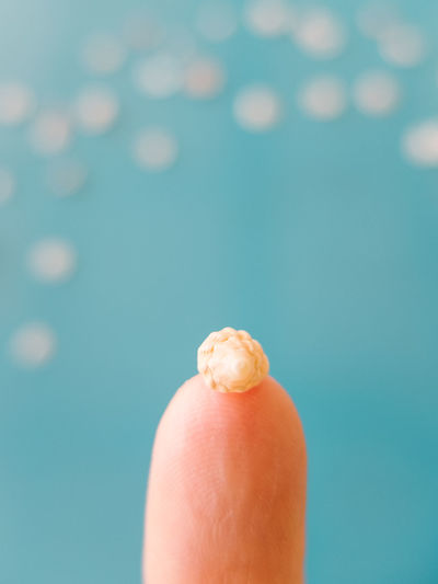Close-up of tiny seashell on finger