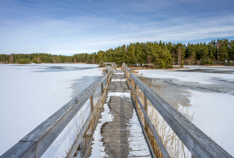 Nature reserve in winter with snow