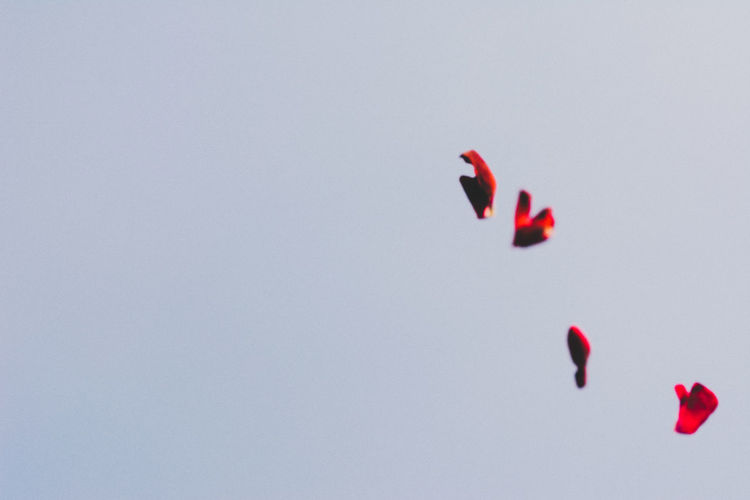 Low angle view of red paragliding against clear sky