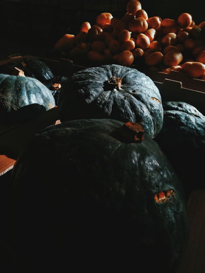 High angle view of pumpkins in container