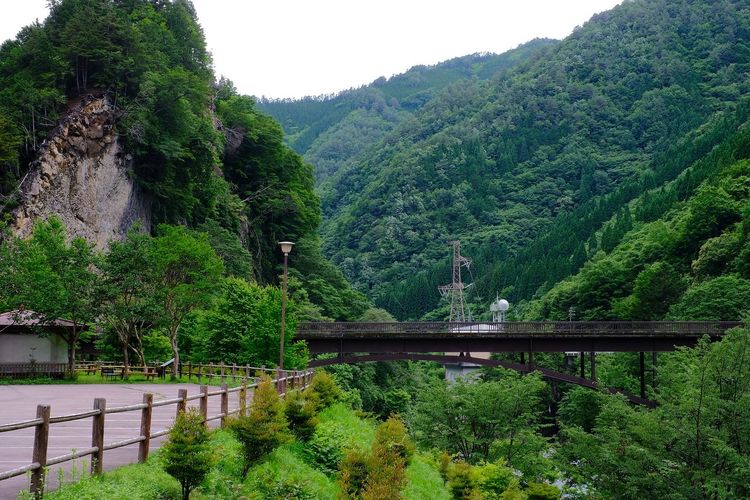 Footbridge amidst trees against mountains